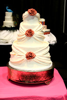 2013_greenville_bridalexpo_lj92